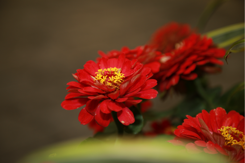 1653378000661.png 3B5A4318 (1).png