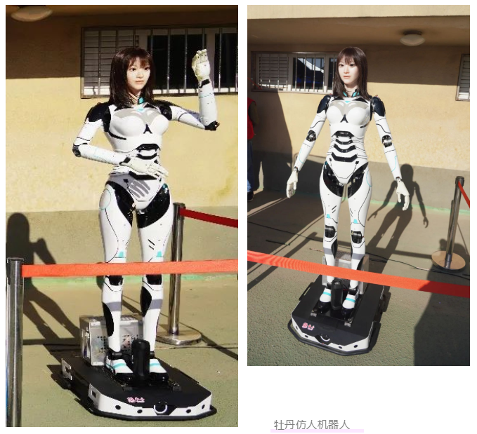 搜狗截图23年05月17日1601_4.png